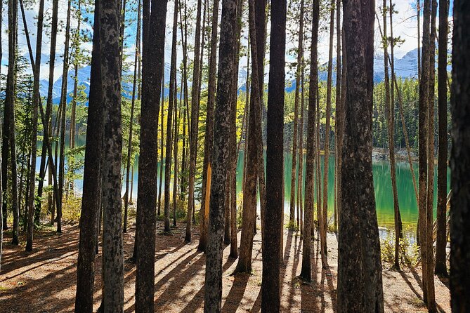 From Canmore/Banff: Columbia Icefield Skywalk Peyto Private Tour - Scenic Drive along the Icefields Parkway