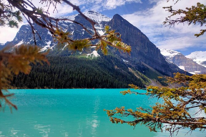 From Canmore Banff to Lake Louise Moraine Lake 1.5h Half Day Tour - Practical Details: Luggage, Pickup, and Group Size