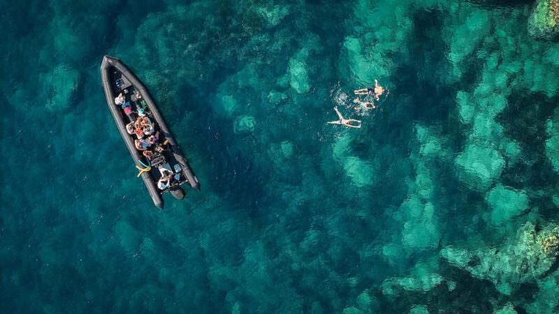 From Cannes: Essential Calanques de l'Estérel Sea Excursion - Key Points