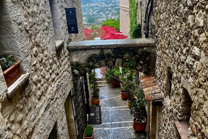 From Cannes Private Guided Tour - Vehicle Comfort and Practical Details