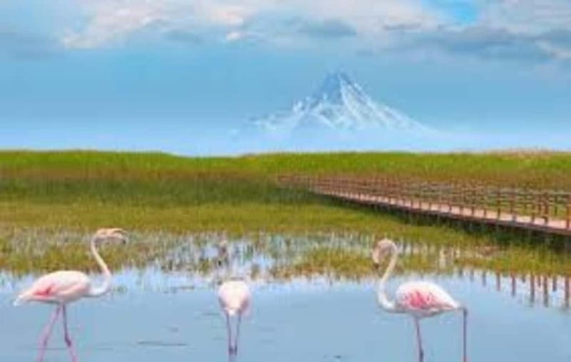 From Cappadocia: Sultan Marshes Area & Waterfall Tour - Discover the Natural Wonders of Sultan Marshes & Waterfalls from Cappadocia