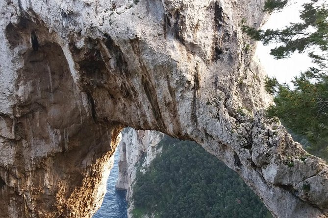 From Capri Semi-Guided tour of island at Pier 23 at 10,20 - The Experience: Guided and Independent Exploration