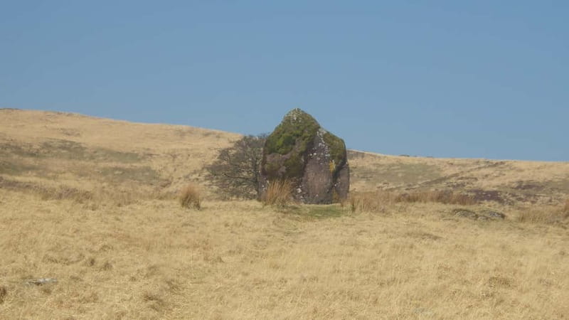 From Cardiff: Brecon Beacons Waterfall Walking Tour - Walking Behind Sgwd yr Eira Waterfall