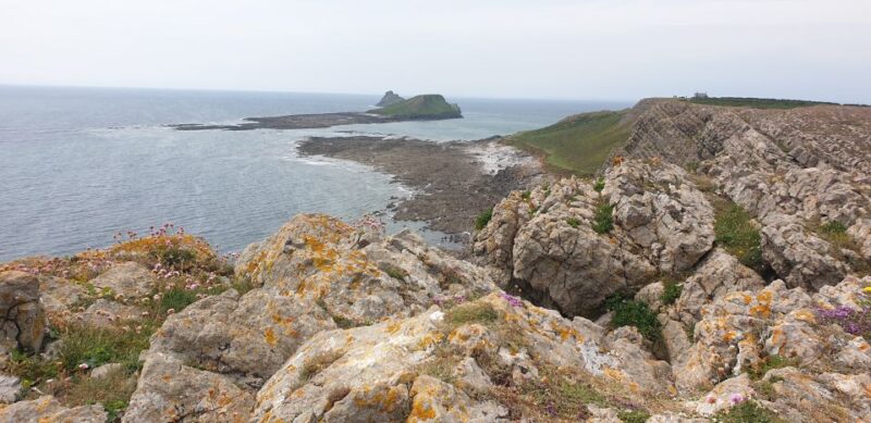 From Cardiff: Mumbles and Gower Peninsular Tour - Discovering the Gower Peninsula’s Natural Beauty