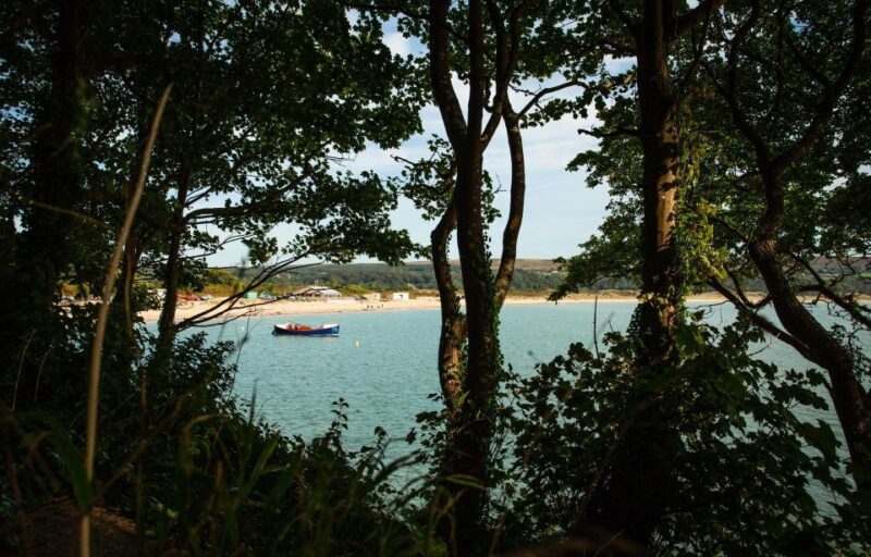 From Cardiff: Mumbles, Three Cliffs, Worms Head Gower Tour - Rhosilli and Worms Head: The Iconic Landscape