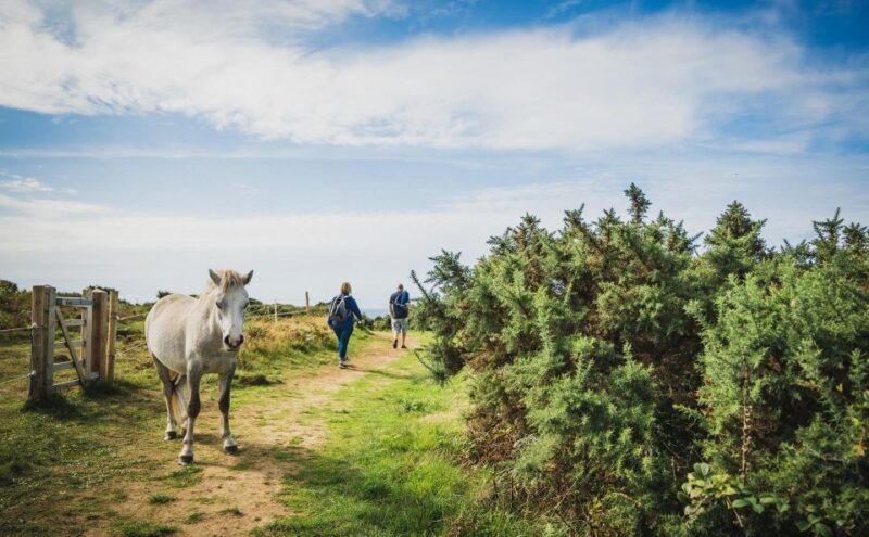 From Cardiff: Mumbles, Three Cliffs, Worms Head Gower Tour - Llanrhidian Common and King Arthur’s Stone
