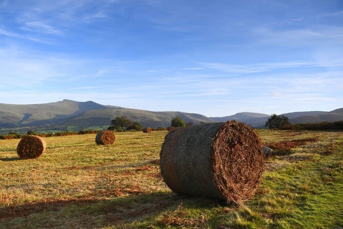 From Cardiff: The Valleys Heritage And South Wales Landscapes - Key Points