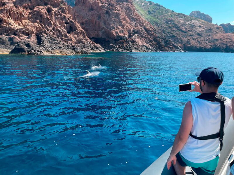 From Cargèse : The Calanques of Piana - What Makes This Tour Stand Out from Others