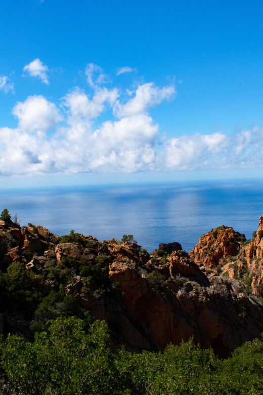 From Cargèse : The Grand Tour of the Gulf - The Boat and Guide Experience