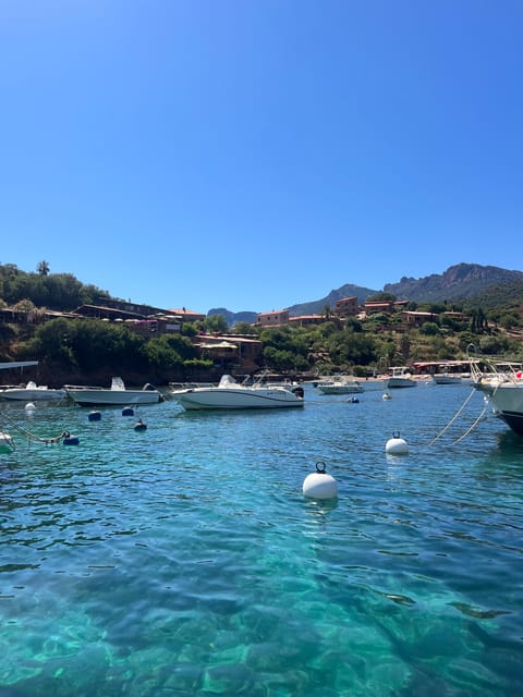 From Cargèse : The Grand Tour of the Gulf - Final Thoughts on the Cargèse Grand Tour