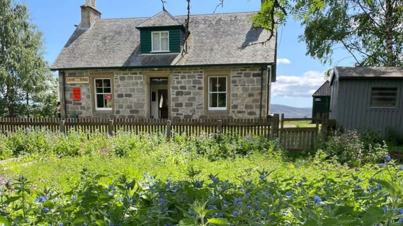 From Carrbridge: Cairngorms, Whisky, and Highland History - Outdoor Adventures on Cairngorm Mountain