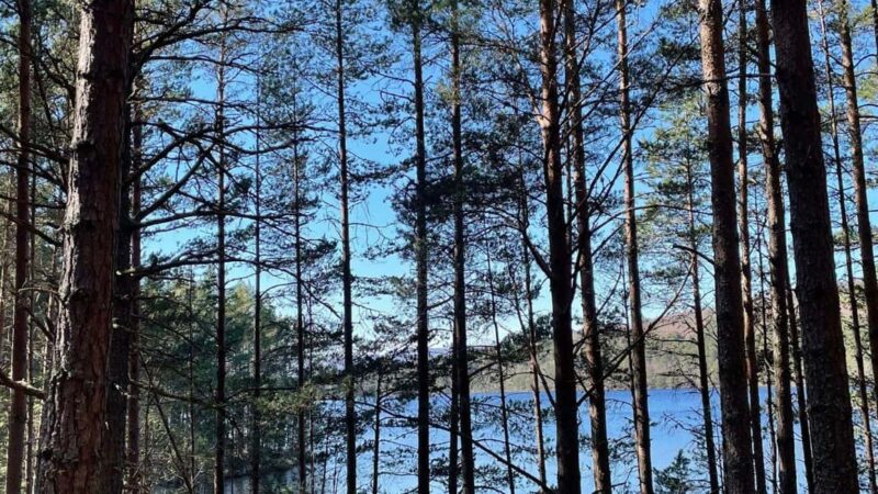 From Carrbridge: Cairngorms, Whisky, and Highland History - The Highland Folk Museum: Living Highland Traditions