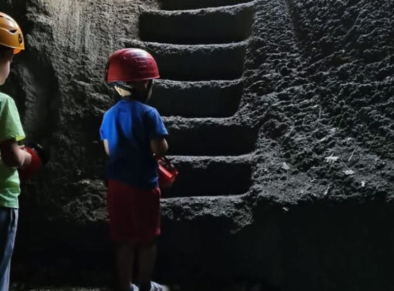 From Catania: Guided Hike on Etna, wines and nibbles - Visiting a Top Winery on the Volcano Slopes