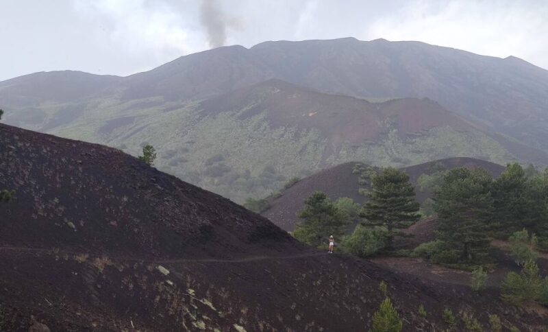 From Catania: Guided Hike on Etna, wines and nibbles - Who Will Enjoy This Tour Most