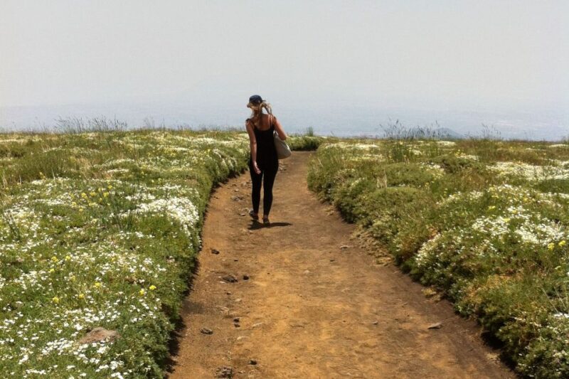From Catania: Mount Etna Half-Day Tour and Wine Experience - Practical Information for Participants