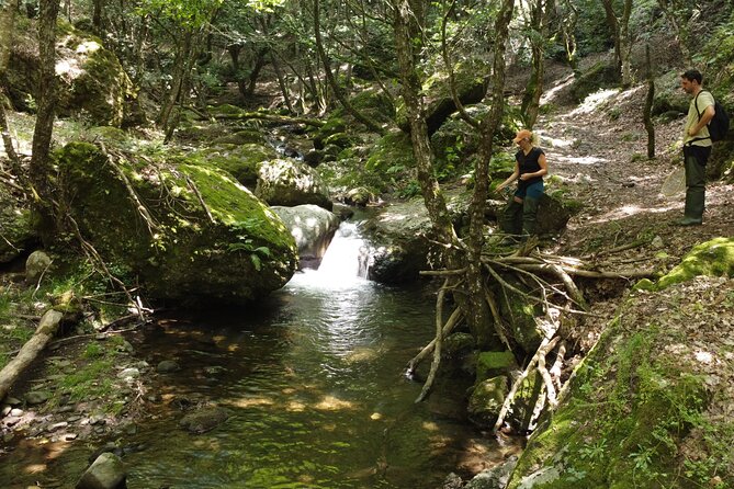 From Catania, Syracuse and Taormina: fly fishing experience - Key Points