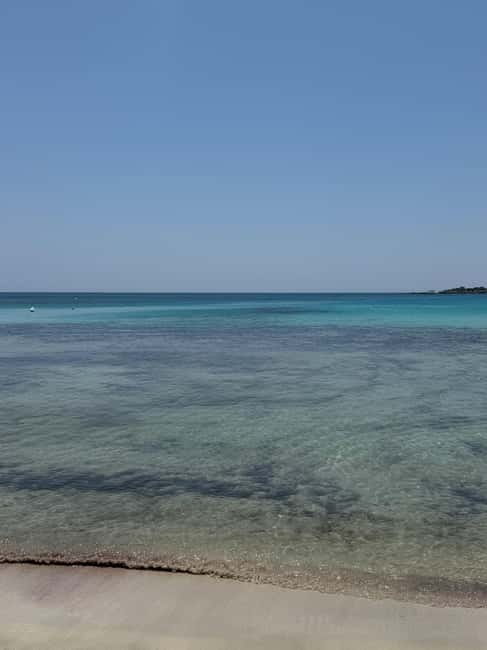 From Catania: Syracuse, Ortigia Island - Exclusive Tour with Pick-up - Discovering Ortigia Island’s Unique Charm