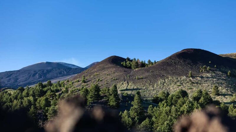 From Catania: trek on Mount Etna, Lava Cave & tasting Tour - Logistics: From Catania to Mount Etna and Back