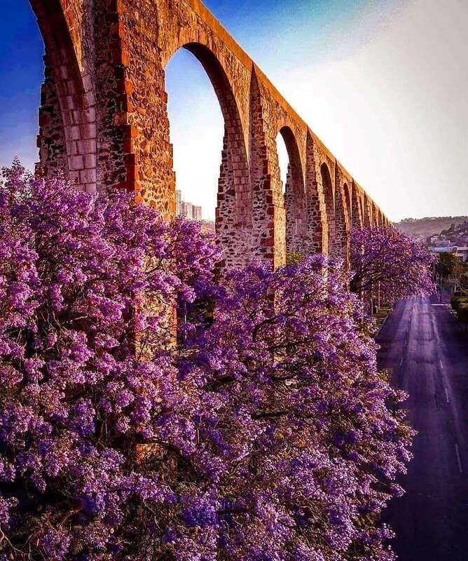 FROM CDMX and PUEBLA: Queretaro, Guanajuato, Hidalgo, Morelia 4 DAYS - Explore Mexicos Colonial Cities in 4 Days for $1,315 per Person