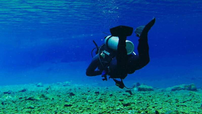 From CDMX: Private visit to Las Estacas Natural Park - Who Will Appreciate This Tour Most?