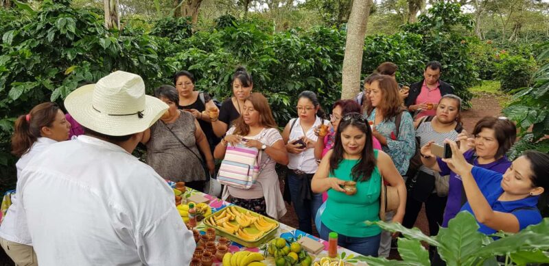 FROM CDMX: Puebla, Oaxaca, Veracruz, Chiapas, Campeche, Yucatan 13 DAYS - Key Points