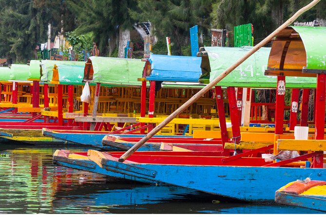 From cdmx: Tour in Coyoacan and Xochimilco all inclusive - Why Choose This Tour in Mexico City?