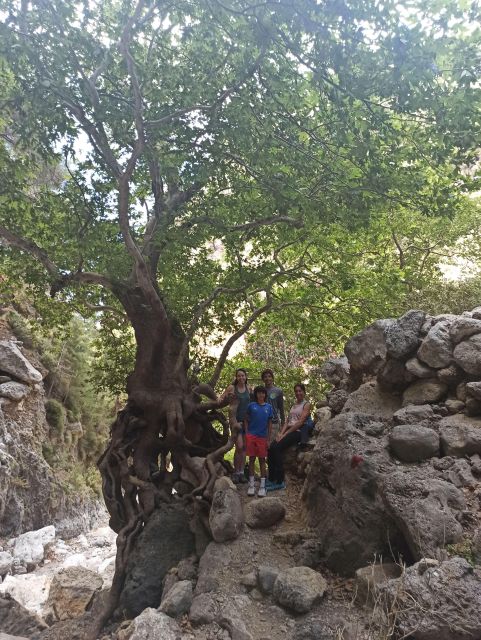 From Chania: Agia Irini Gorge Hike & Beach Relaxation - Value and Pricing for the Agia Irini Gorge & Beach Day
