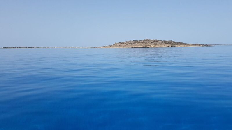 From Chania Area: Day Trip to Elafonisi Island by Bus - Discover the Beauty of Crete’s Elafonisi on a Day Trip for $41.78