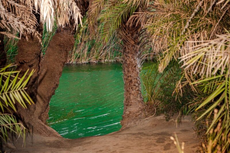 From Chania: Day Trip to Preveli Beach & Damnoni Beach - The Historic Kourtaliotiko Gorge (From a Distance)