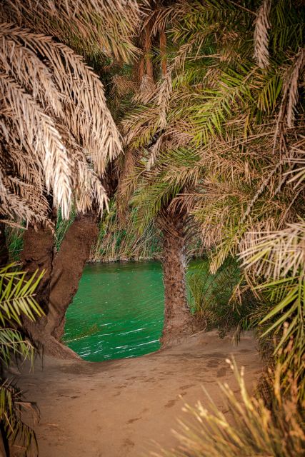 From Chania: Day Trip to Preveli Beach & Damnoni Beach - Visiting Plakias and Its Beach Town Atmosphere