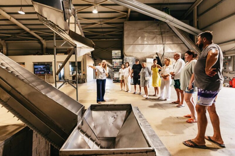 From Chania: Elafonisi and Falasarna Guided Tour with Snacks - The Guide and Overall Experience