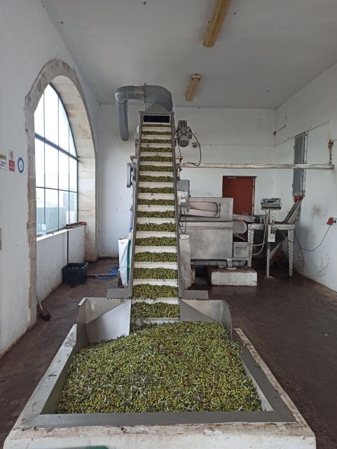 From Chania: Falassarna Beach, Wine & Olive Oil Private Tour - Tasting Crete’s Olive Oils with a Rustic Lunch