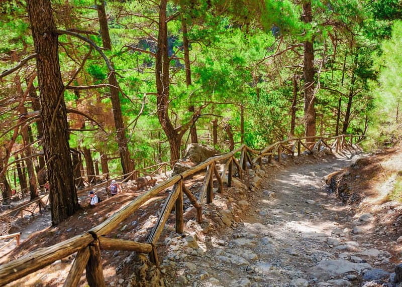 From Chania: Full-Day Samaria Gorge Trek Excursion & Guide - The Physical Demands and Best Suitability