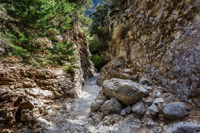 From Chania: Imbros Gorge and Sfakia Experience Hike & Swim - Starting from Chania to the Scenic Imbros Gorge