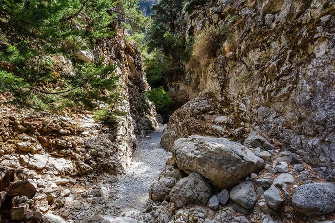 From Chania: Imbros Gorge and Sfakia Experience Hike & Swim - Cretes Imbros Gorge: A Gentle Yet Stunning Hike