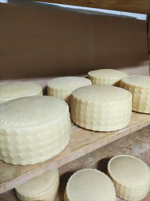 From Chania: Olive Tree, Bakery, & Winery Tour with Tasting - Explore the Flavors of Crete with a Guided Tour from Chania