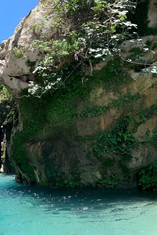 From Chania: Preveli Palm Beach and Kourtaliotis Waterfalls - Visiting the Kourtaliotis Waterfalls and Gorge