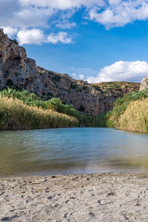 From Chania: Preveli Palm Beach Day Tour - Discovering the Preveli Palm Forest and River