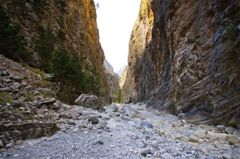 From Chania/Rethymno: Samariá Gorge Guided Hike with Pickup - The Guide: Knowledgeable and Supportive