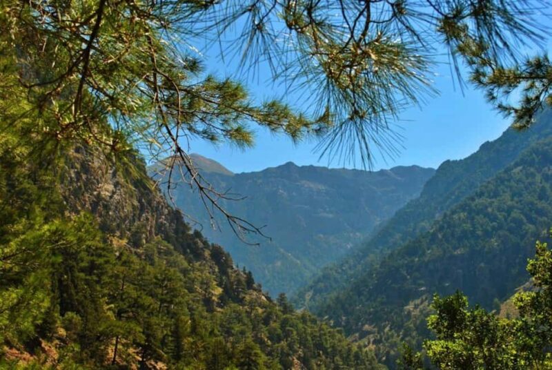 From Chania: Samaria Gorge Full-Day Guided Hiking Tour - Discovering the Church of St. Nicolas and Wildlife Encounters
