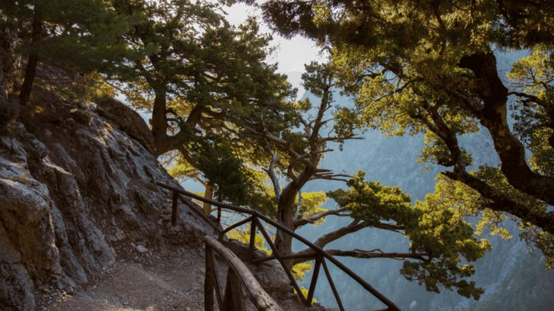 From Chania: Samaria Gorge Full-Day Guided Hiking Tour - The Tour’s Logistics and Group Experience