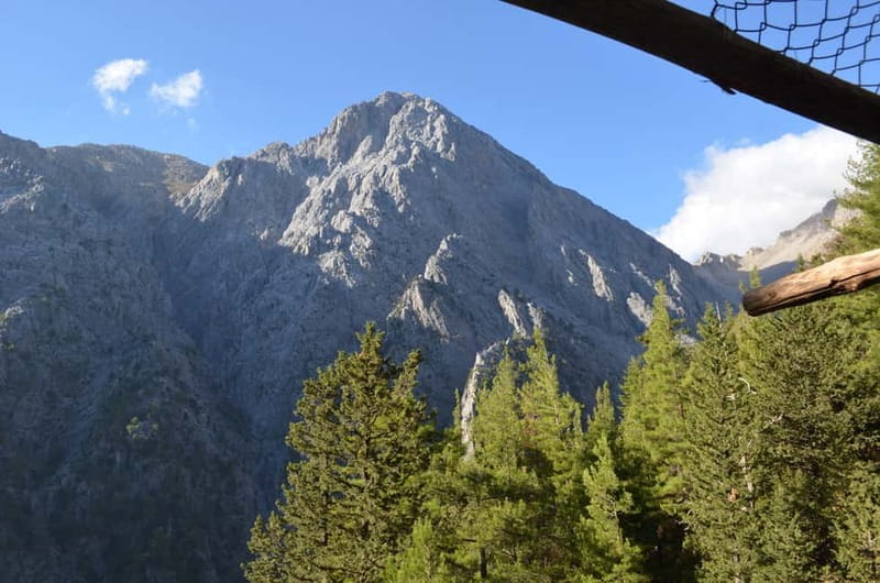 From Chania: Samaria Gorge Hike with Local Mountain Guide - Key Points