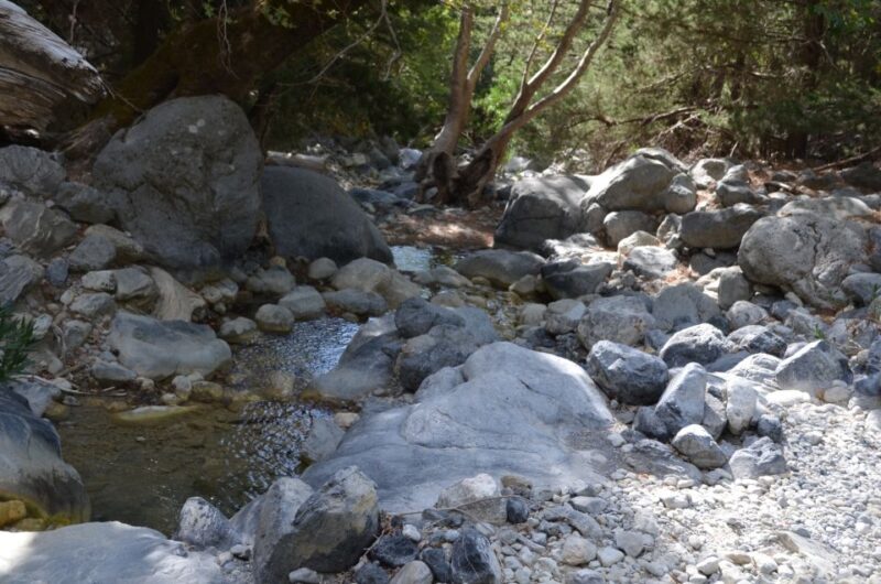 From Chania: Samaria Gorge Hike with Local Mountain Guide - Returning by Ferry from Agia Roumeli to Sougia