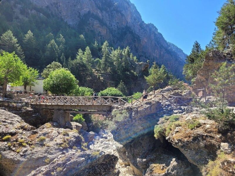 From Chania: Samaria Gorge with Professional Hiking Guide - Who This Tour Is Best For