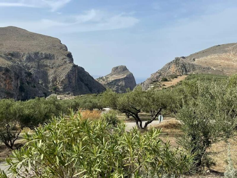 From Chania: Wine, Honey & Olive Oil Private Tour - Crete’s Oldest Olive Tree and Scenic Stops