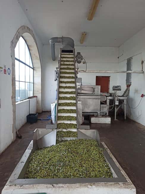 From Chania: Wine, Honey & Olive Oil Private Tour - Savoring Crete’s Finest Wines at a Secret Stop