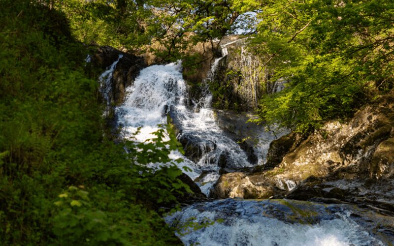 From Chester: North Wales and Caernarfon Castle Tour - Explore North Wales with a Full-Day Tour from Chester for $87.55