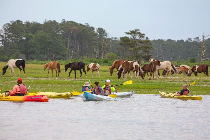 From Chincoteague: Guided Kayak Tour to Assateague Island - Reaching the Remote Beach on Assateague Island
