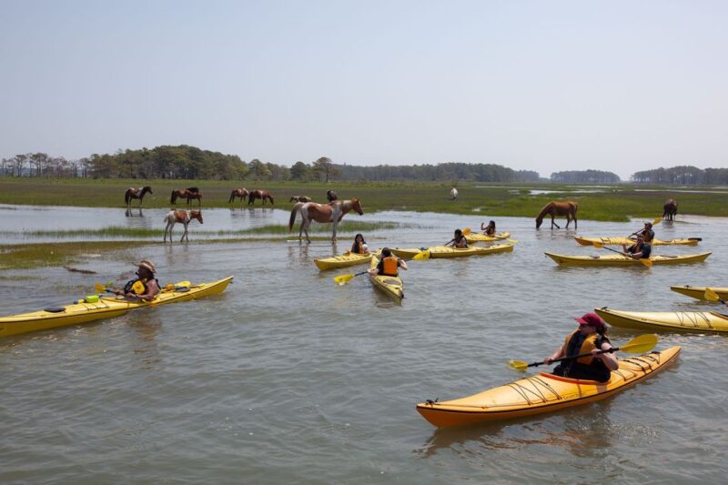 From Chincoteague: Guided Kayak Tour to Assateague Island - Viewing the Historic Assateague Lighthouse from the Water