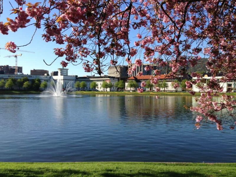 From City Lights to Fjord Sights - Citywalk and Oster Fjord - Key Points